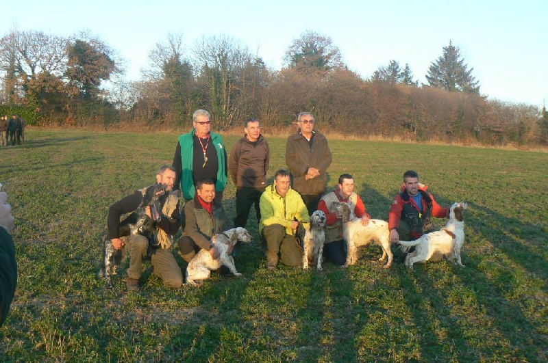 field bécasse 2016
